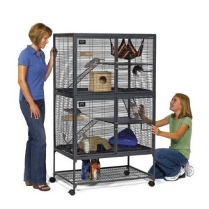 critter nation double cage