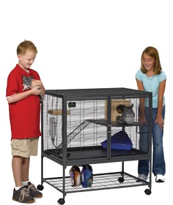 critter nation single cage